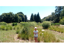 � ��� �������, � ������ �����...