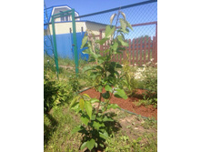 ������� 1