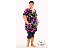 3.1531  ������ ��������