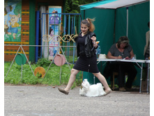1-IMG 3493.JPG