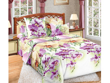 �������� ���� ��̣���.jpg