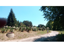 ��� ������ �������