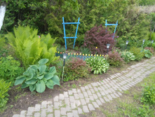 20170603 153705.jpg
