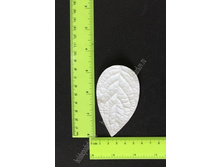 ���� ������������� ��� ������, 8-5��, ���. 8050 119�