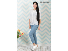 ����� OD-040.1