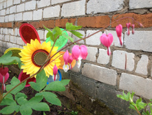 �������� "����������� �������" IMG 0985.JPG