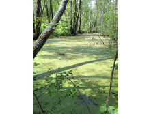 IMG 20170612 124523.jpg