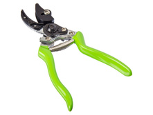 230 ���. - INBLOOM ������� ������� 8" (�����50), ���������� ��������, ���������� �������, P� �������