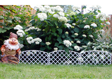 ����� ������������ No6 ��������, 265 + �������