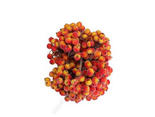 ������ �� ������� ��������, �����-������� (���� �� ��������, 400 ����)