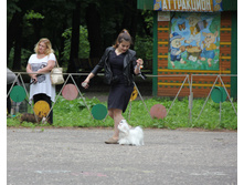 1-IMG 3494.JPG