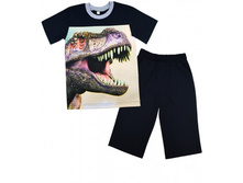 365� ����� 3D ������ �-6 �� �������� (������)