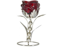 145 ���. - ����������