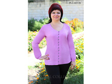 ����� PL2-465 ������.jpg