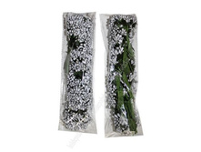 ������� ������������, �����������, ���� �� ��������.