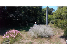 ��� ������ ��������� � �������