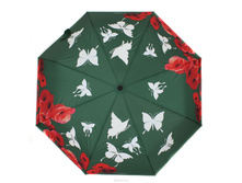 210203 FJ_1250 ���