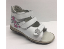 56*775 �����/�����, ����� ��������.png