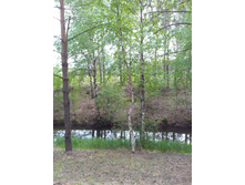 IMG 20170610 150425.jpg