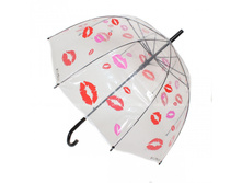 121204 FJ_845 ���