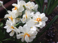 �������� ��� ������� ������� IMG 0974.JPG