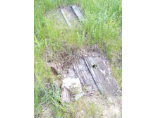 IMG 20170612 122329.jpg