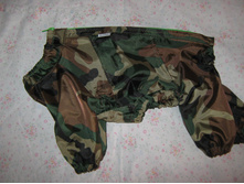 �����-��� 001.jpg