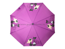 160404 FJ_885 ���