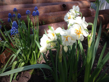 �������� ��� ������� ������� IMG 0948.JPG