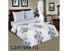 ������ ������.jpg