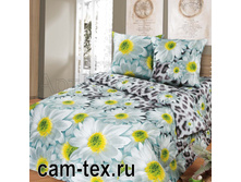 ������ ���.jpg