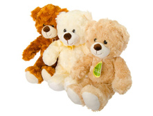 250 ���. - ������� "��������� ����������", ���������, 32��, 3 �����