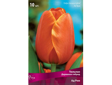 ������� �� ���.jpg