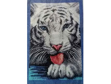 ����� ����. 15*25