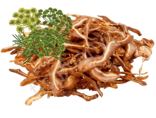 ���� ������ � ������ 140 �/500 ��