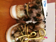 IMG 8096-10-06-17-01-44.JPG