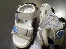 P 20170525 202321.jpg