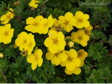 �������� ���� ����.jpg