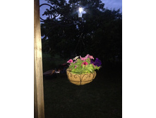 ������� �� ������� Noatel IMG 1068.JPG