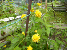 P1060276.JPG����� ��������(���������� ����)