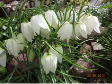 DSC03317.JPG