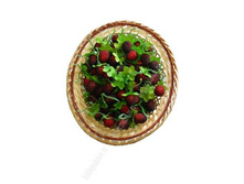 ������� ��������