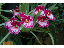 ��������� ����......