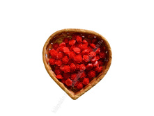 ������� "�������" 20 �� (�������)