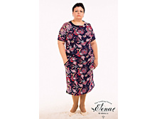 3.1731 ������