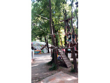 IMG 20170605 164157.jpg