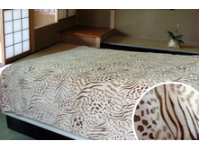 084 ������