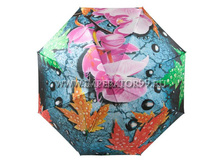 051103 FJ_995 ���