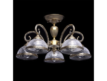 481011805 7400�.jpg