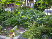 � �� ������ ������ ����...